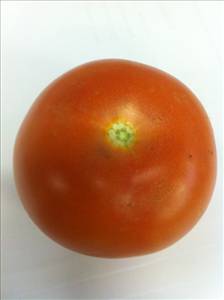 Red Tomatoes