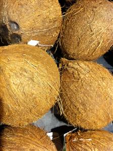Coconut