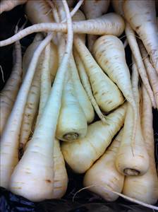 Parsnips